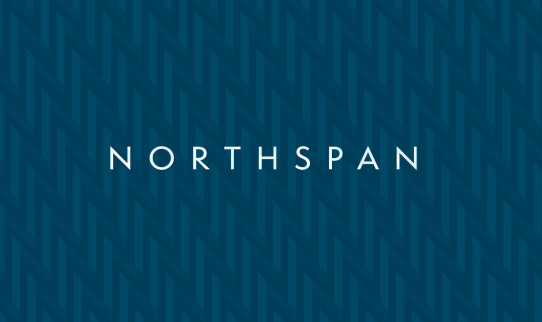 Northspan branding and website redesign created by Šek Design Studio