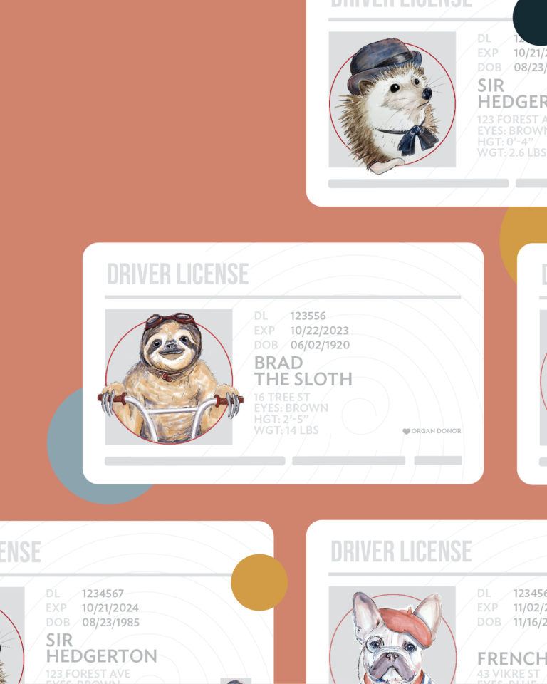 Frenchie and Friend character driver license, created by Šek Design Studio