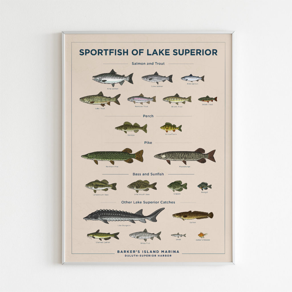 Barker's Island Marina fish poster, created by Šek Design Studio