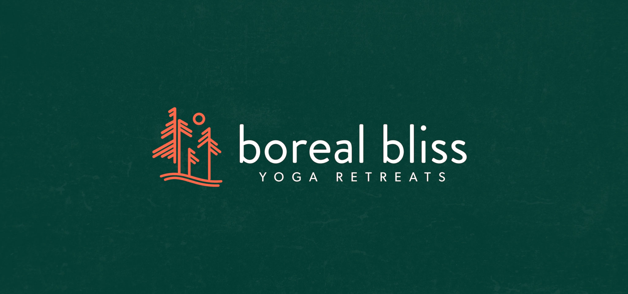 Boreal Bliss new brand, created by Šek Design Studio